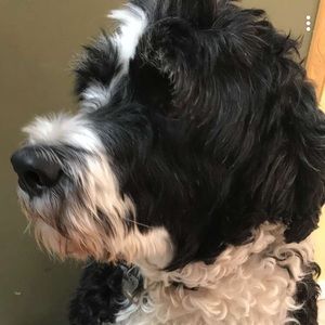 Meet your Posher, Cecilia